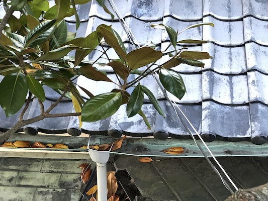 雨漏りの水漏れ