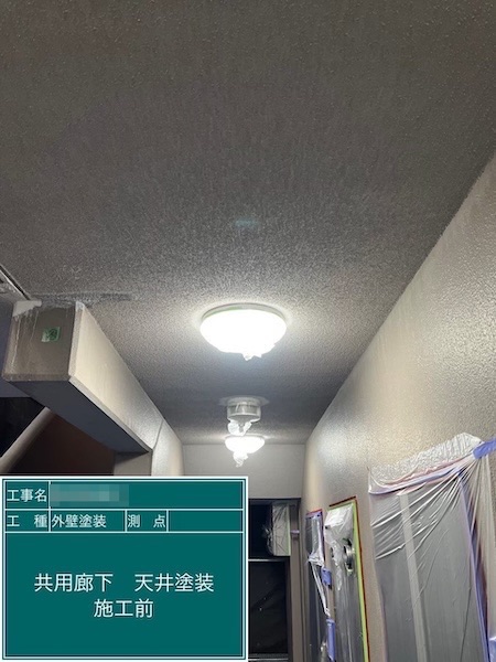 東京都府中市|共用廊下 外壁・天井とエレベーター枠を塗装しました!